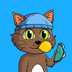 Taco Gato #5172