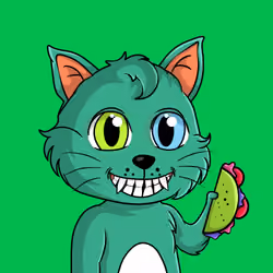 Taco Gato #2071