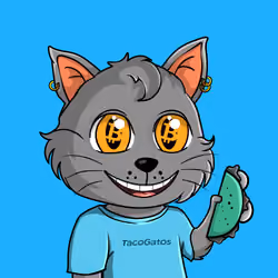 Taco Gato #8657