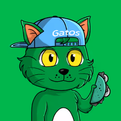 Taco Gato #5176