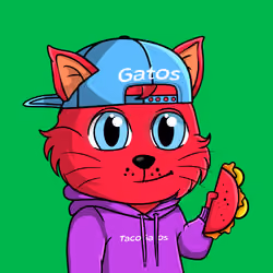 Taco Gato #5479