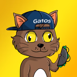 Taco Gato #4175
