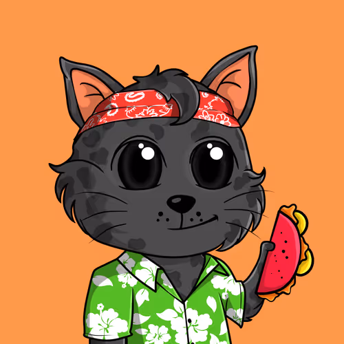 Taco Gato #9