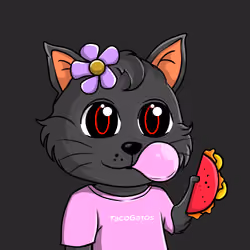 Taco Gato #5428