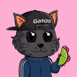 Taco Gato #5467