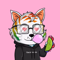 Taco Gato #856