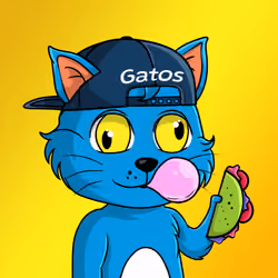 Taco Gato #2625