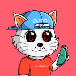 Taco Gato #9786