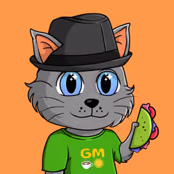 Taco Gato #5082