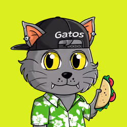 Taco Gato #6436