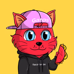Taco Gato #7355
