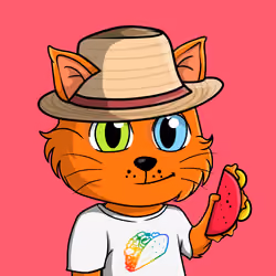 Taco Gato #618