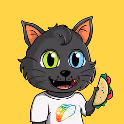 Taco Gato #1172