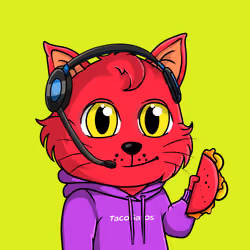Taco Gato #2687