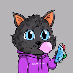 Taco Gato #218