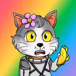 Taco Gato #9646