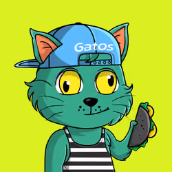 Taco Gato #681