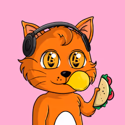 Taco Gato #6866