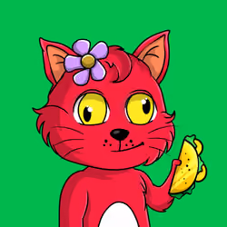 Taco Gato #622