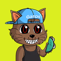 Taco Gato #4677