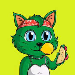Taco Gato #8761