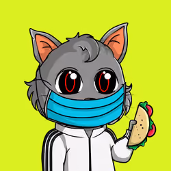 Taco Gato #5636