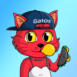 Taco Gato #2723