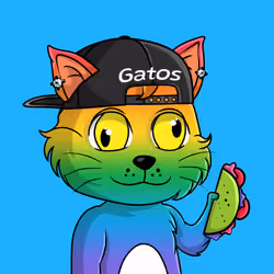 Taco Gato #2195