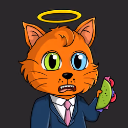 Taco Gato #5174