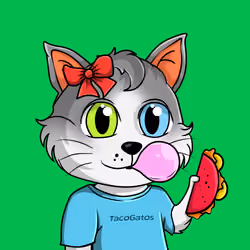 Taco Gato #9360