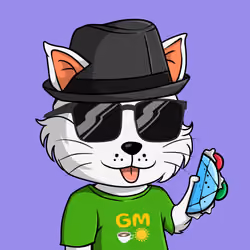 Taco Gato #8056