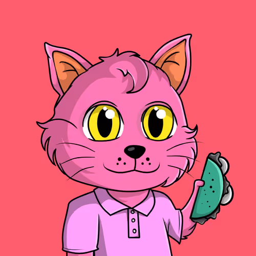 Taco Gato #458