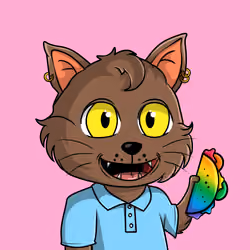 Taco Gato #2504