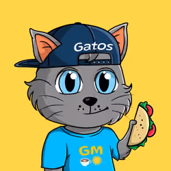 Taco Gato #4