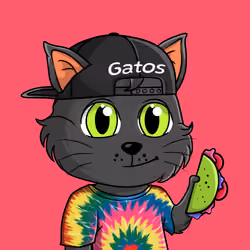 Taco Gato #3235