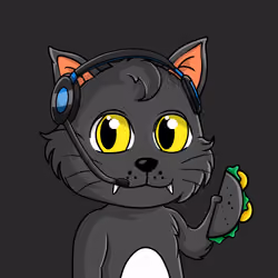 Taco Gato #4129