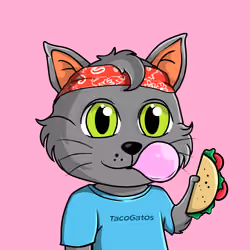 Taco Gato #1474