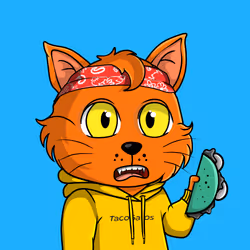 Taco Gato #5160