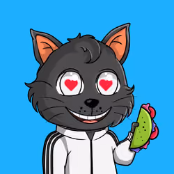 Taco Gato #833