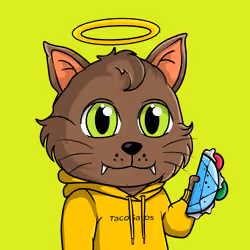 Taco Gato #2051