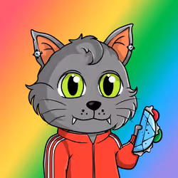 Taco Gato #4114