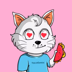 Taco Gato #5920