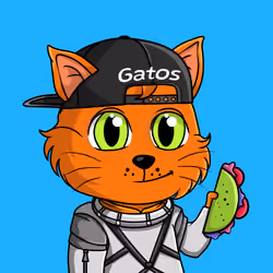 Taco Gato #6358