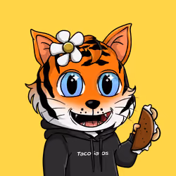 Taco Gato #3393