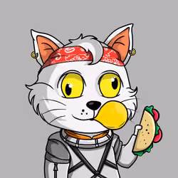 Taco Gato #6123