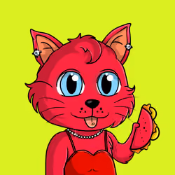 Taco Gato #2362