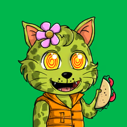 Taco Gato #1212