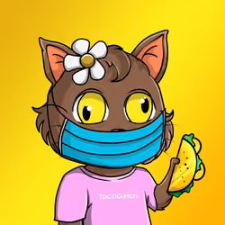 Taco Gato #8400