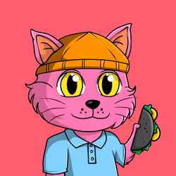 Taco Gato #4125