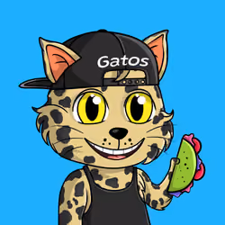 Taco Gato #1968